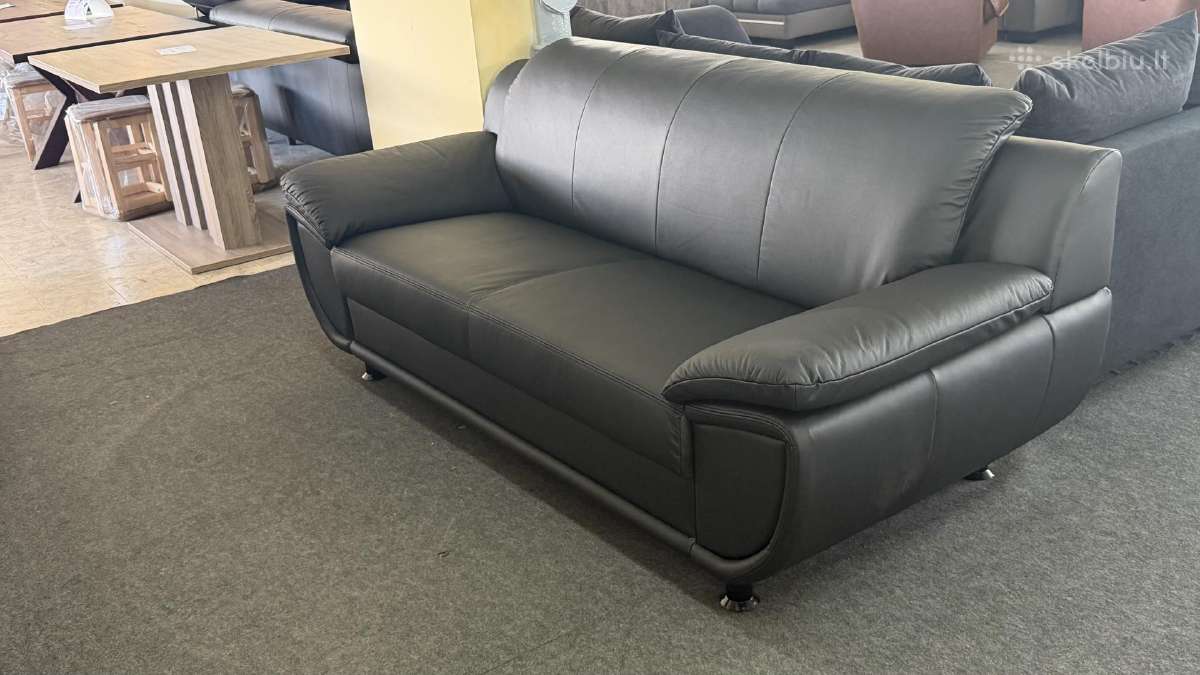 nauja-naturalios-odos-sofa (1)