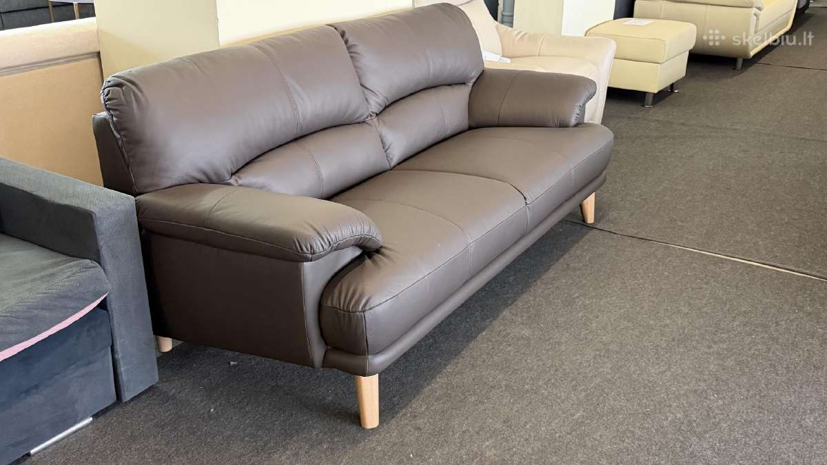 nauja-naturalios-odos-sofa (1)