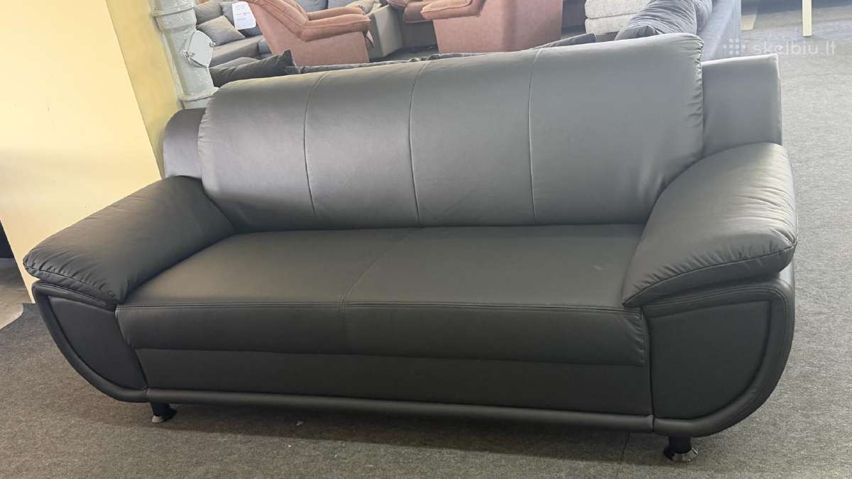 nauja-naturalios-odos-sofa